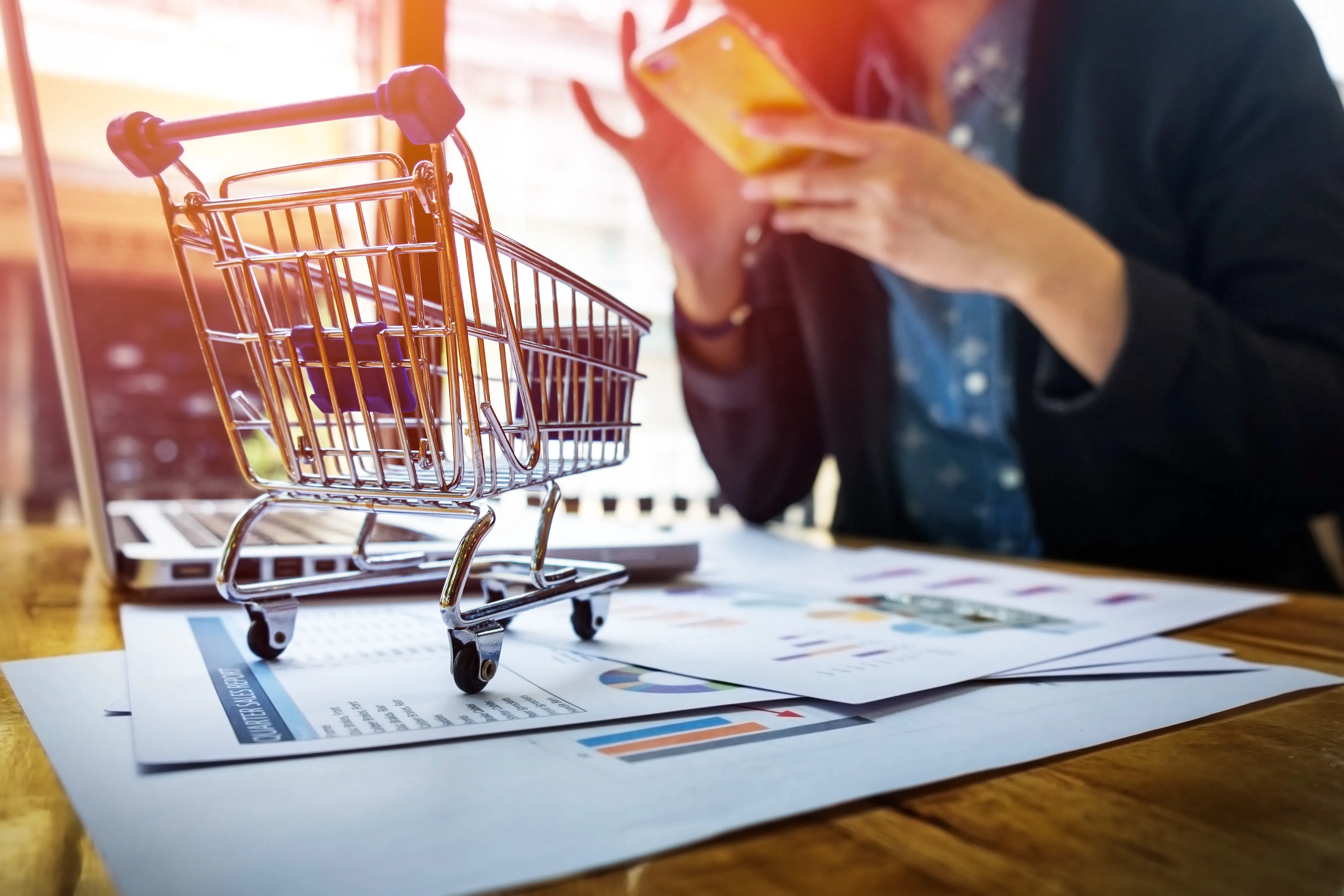 E-Ticaret ve Satın Almayı Etkileyen Faktörler